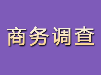 保定商务调查